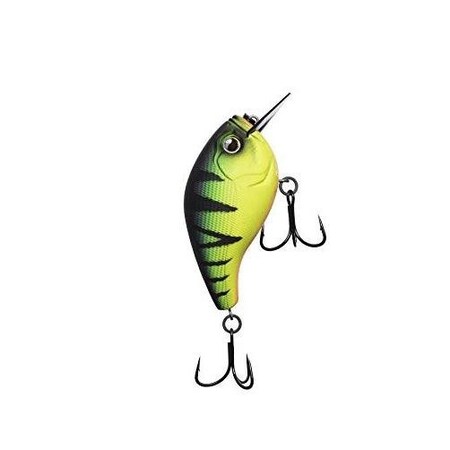 13 Fishing